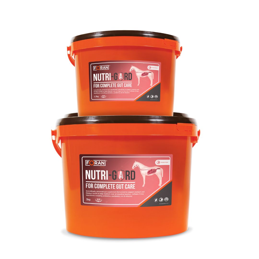 Foran Equine Nutri-Gard (NEW)