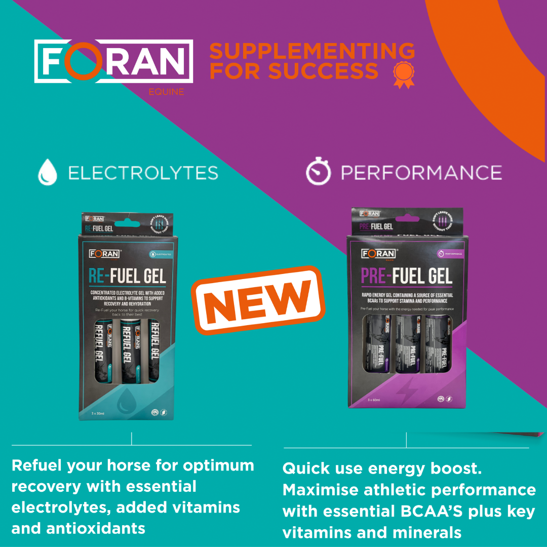 Foran Equine Refuel Gel