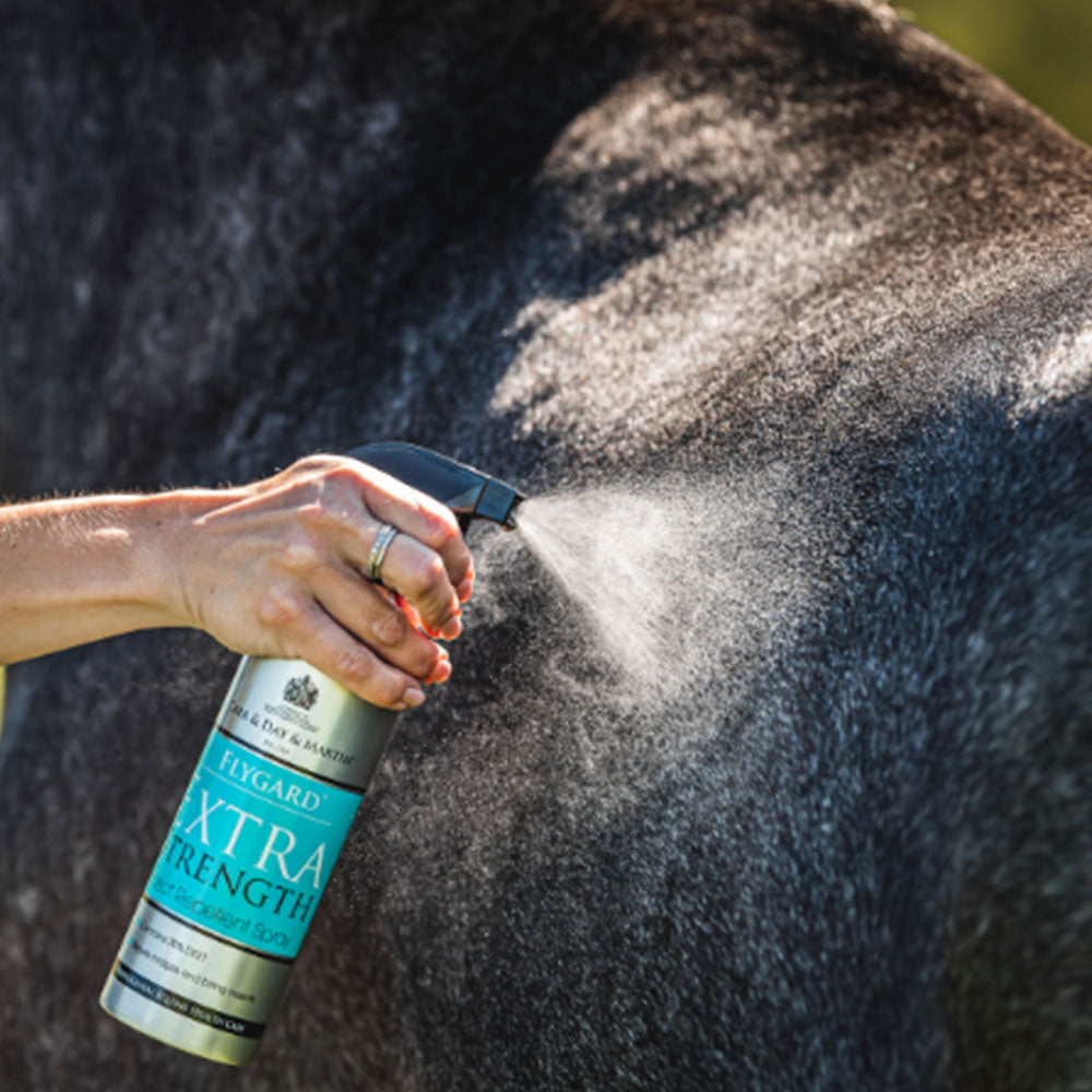 Carr & Day & Martin Flygard Extra Stength Insect Repellent Spray