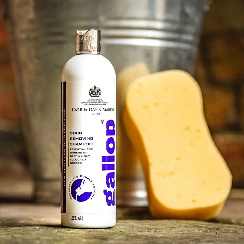 Carr & Day & Martin Gallop Stain Removing Shampoo