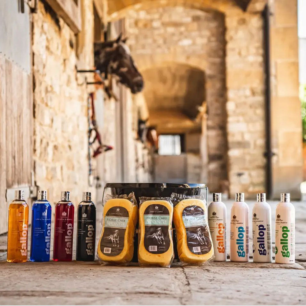 Carr & Day & Martin Gallop Colour Enhancing Shampoo for Grey Horses