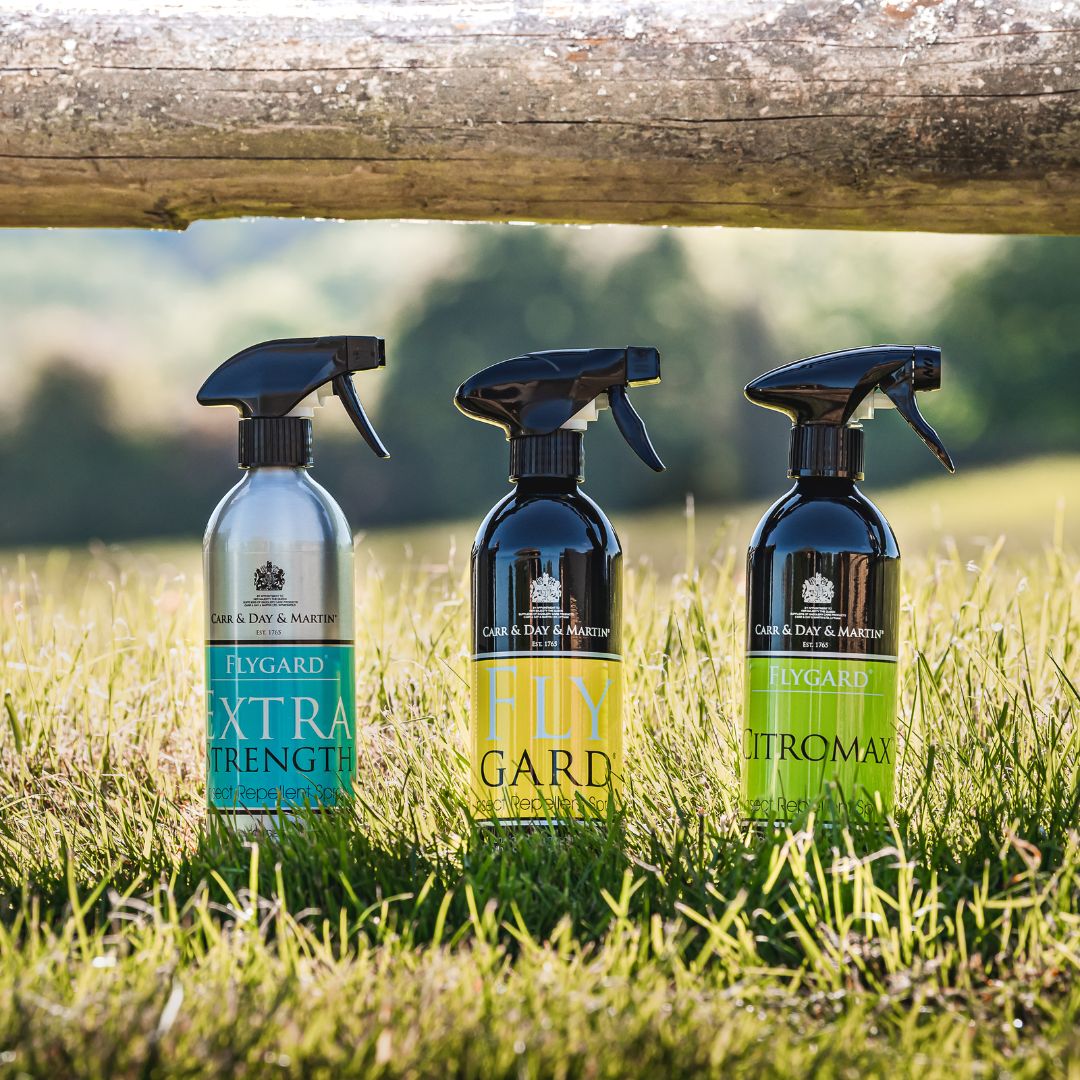 Carr & Day & Martin Flygard Extra Stength Insect Repellent Spray