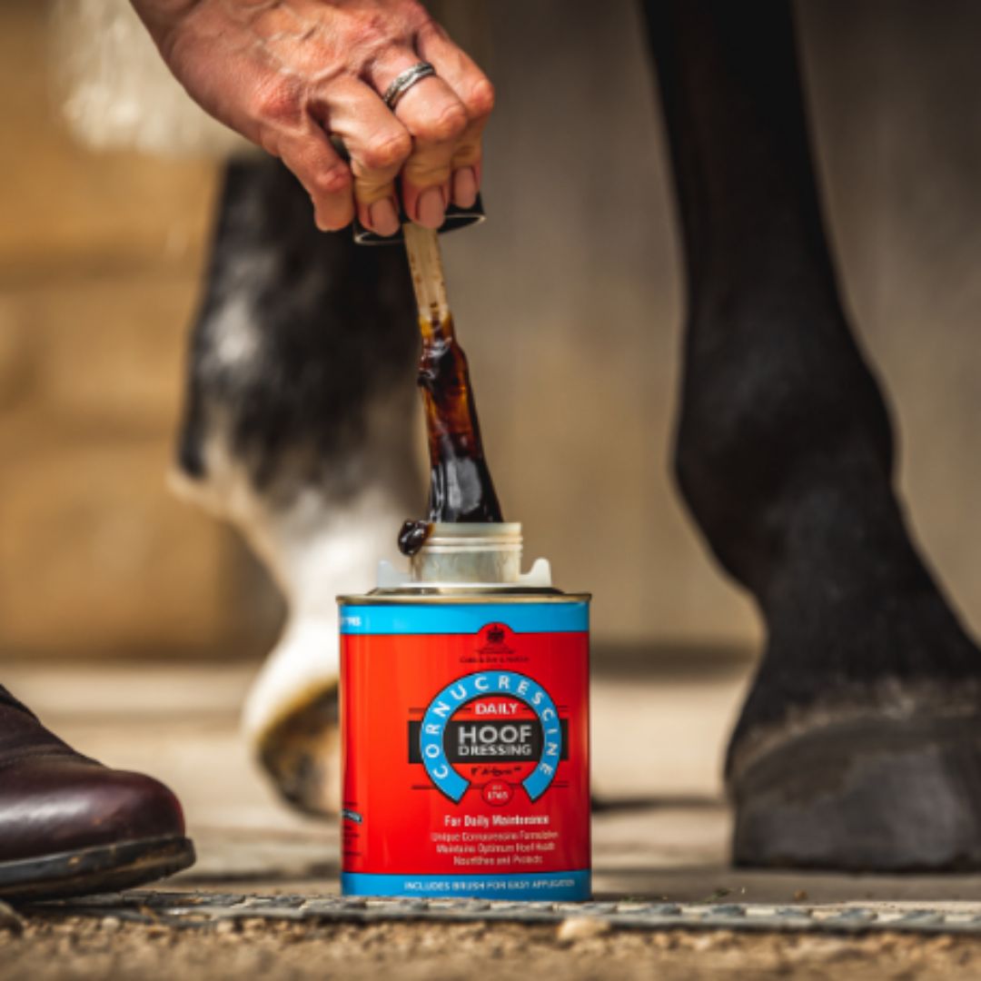 Carr & Day & Martin Cornucrescine Daily Hoof Dressing