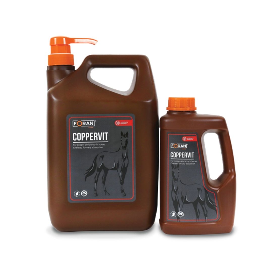 Foran Equine Coppervit