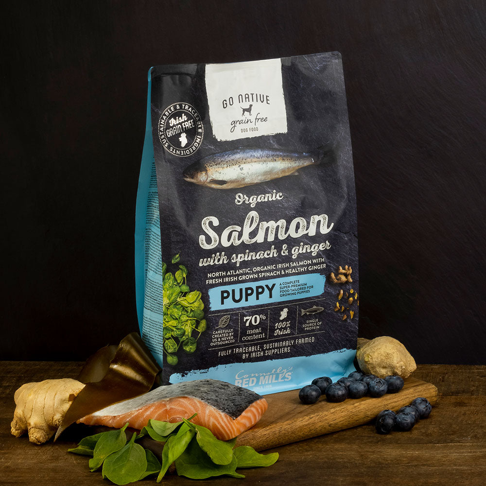 Go Native Puppy with Organic Salmon, Spinach Ginger Dog Food