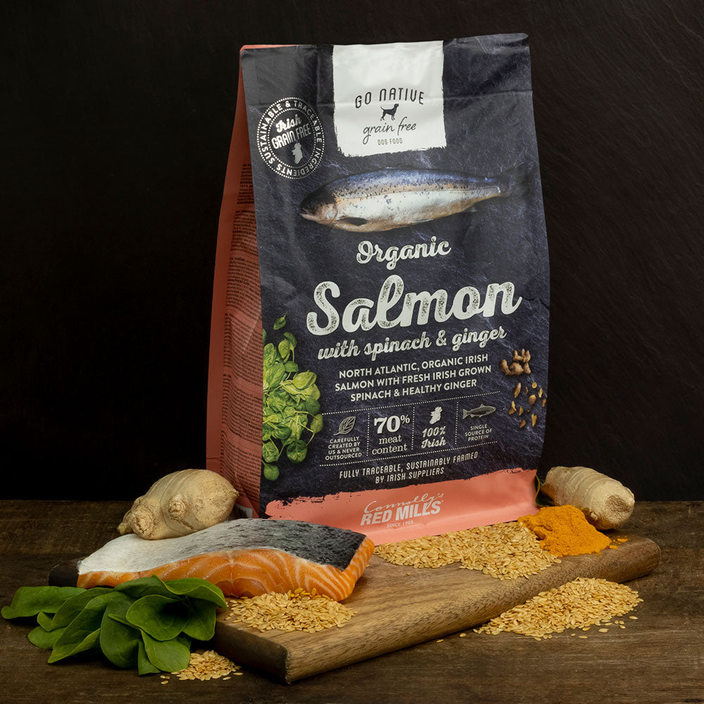 Go Native Salmon with Spinach & Ginger Dog Food