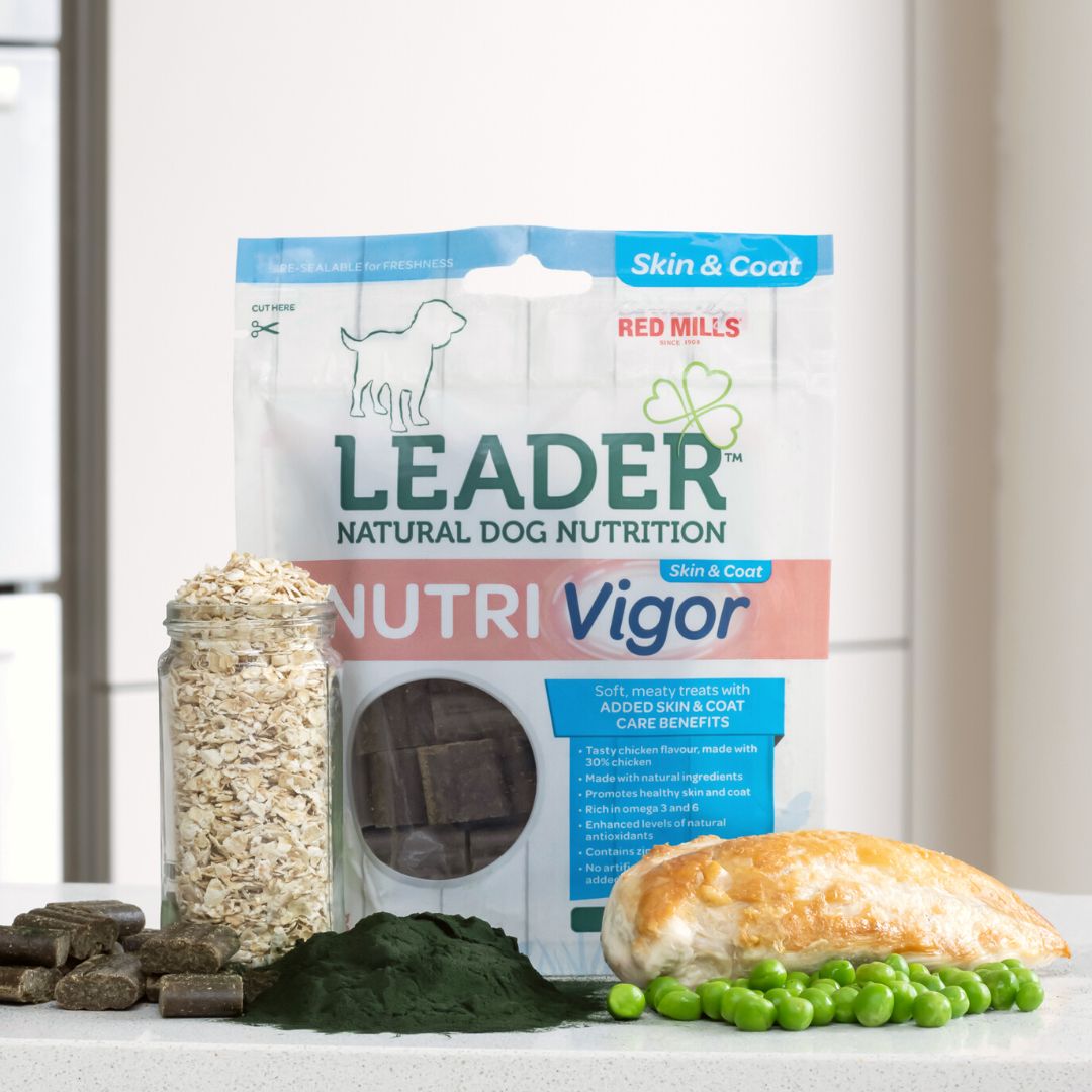 Leader Nutri Vigor - Skin and Coat Care