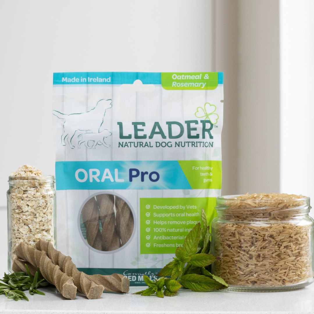 Leader Oral Pro Dental Sticks in Oatmeal and Rosemary Flavour