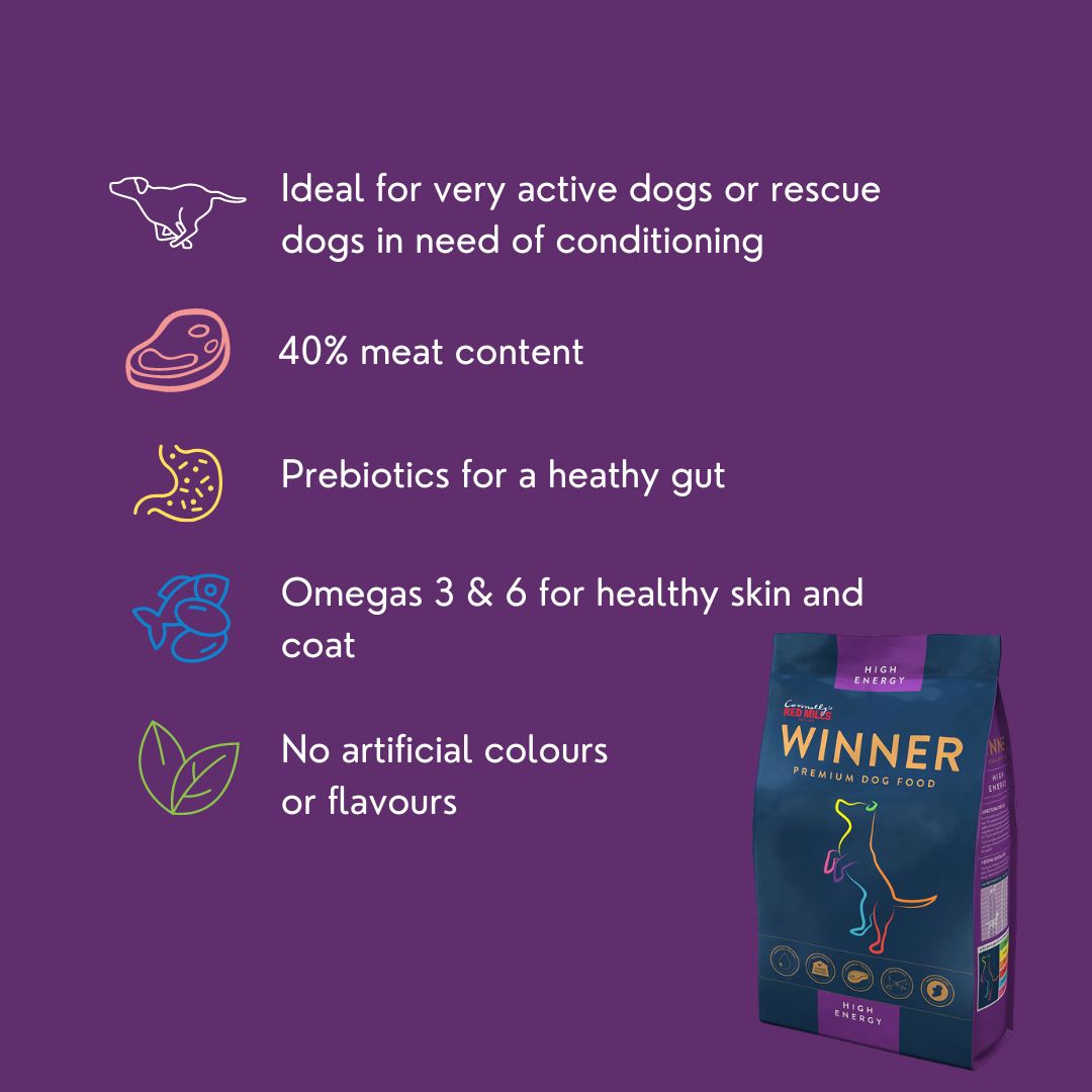 Winner Energy Dog Food