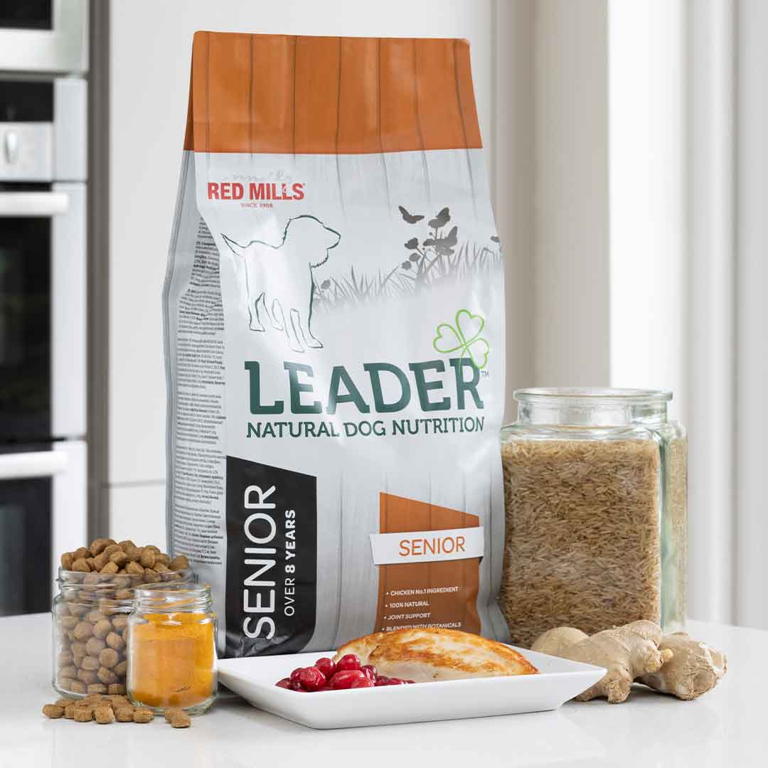 Leader Senior Medium Dog Food