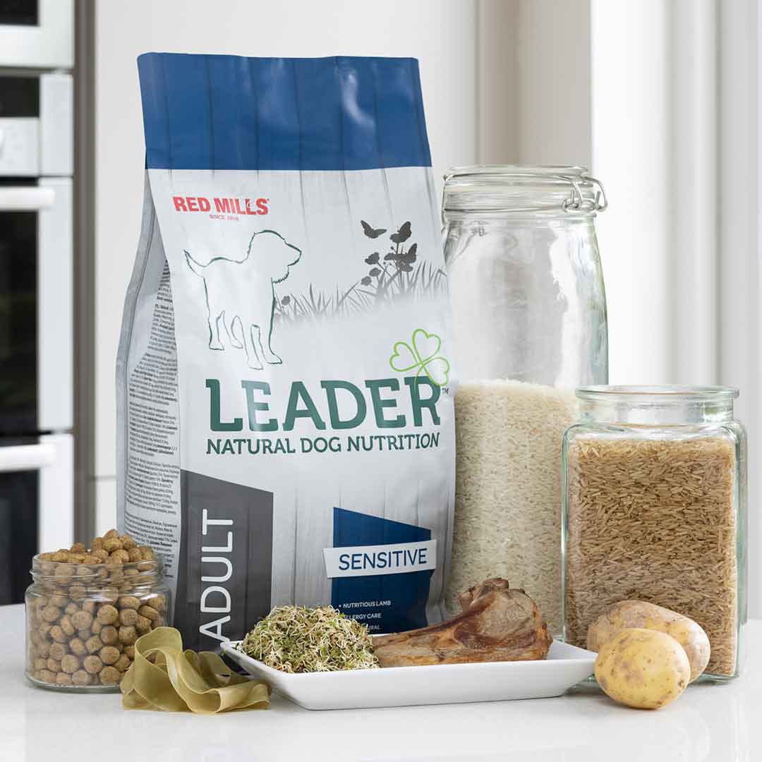 Leader Sensitive Adult Medium Breed Dog Food