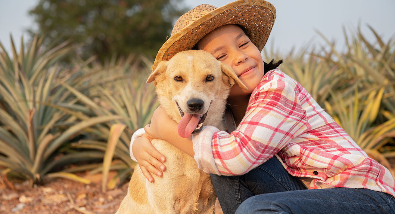 Safe Play Between Kids and Dogs