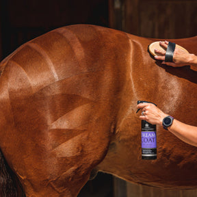 Carr & Day & Martin Grooming Duo Tin