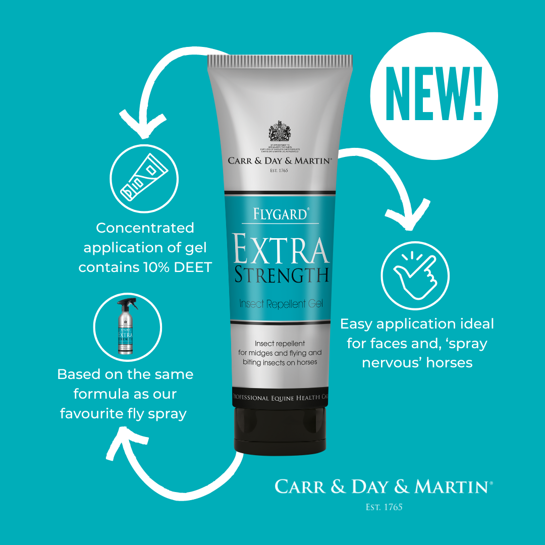 Carr & Day & Martin Flygard Extra Strength Gel