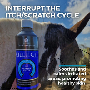 Carr & Day & Martin Killitch