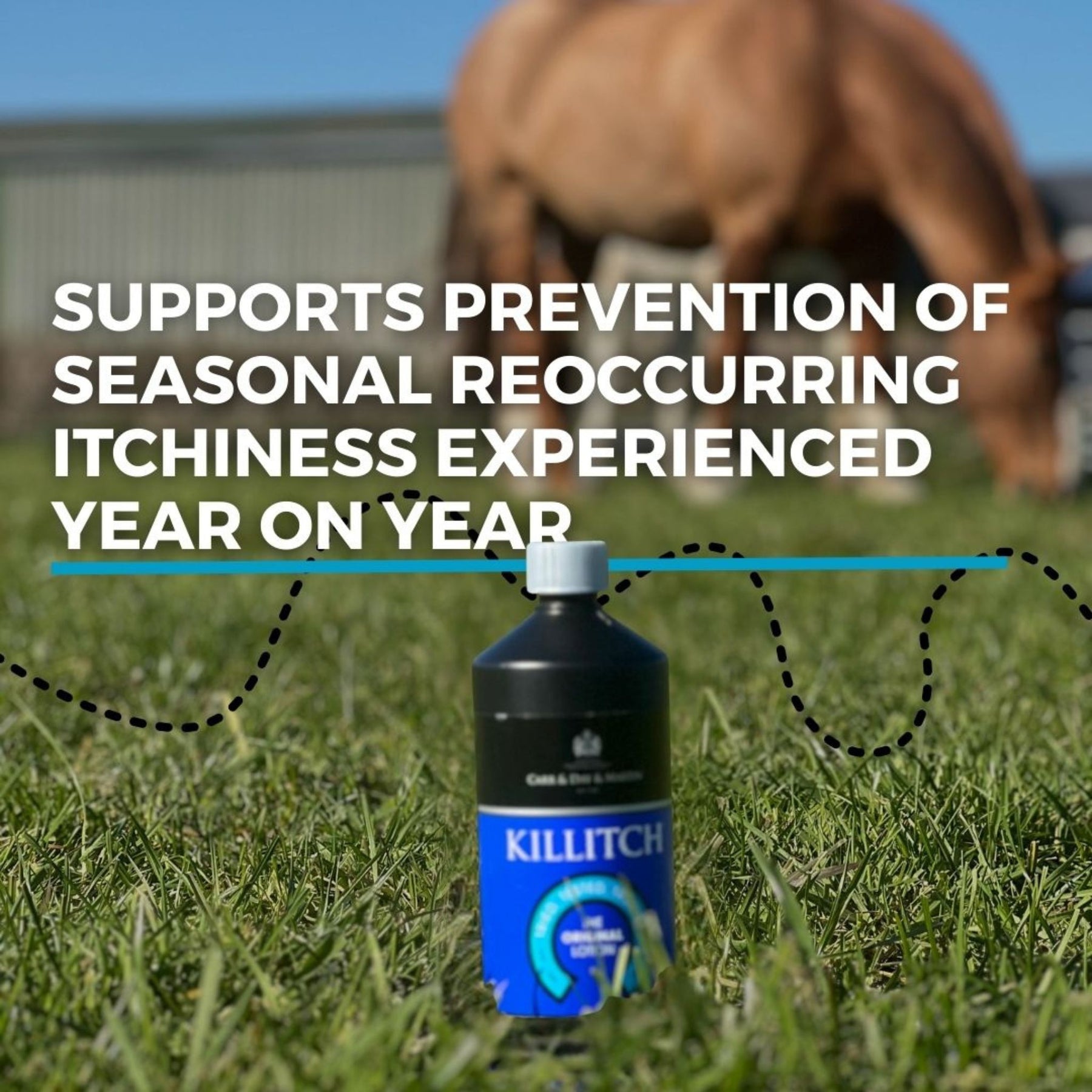 Carr & Day & Martin Killitch