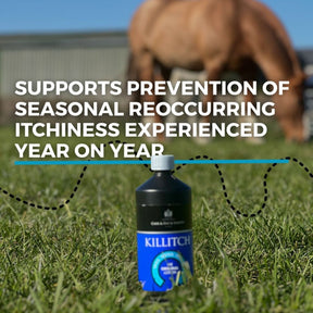 Carr & Day & Martin Killitch