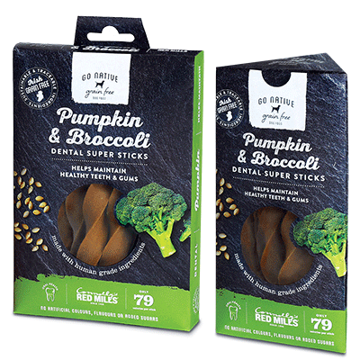 POS - Go Native Dental Super Sticks with Pumpkin & Broccoli