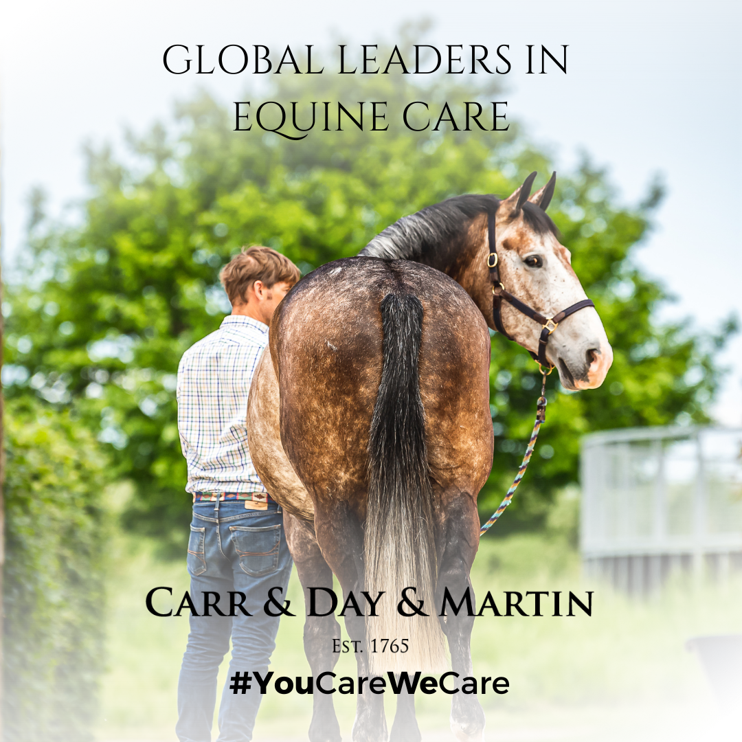 Carr & Day & Martin Horse Care Sponge