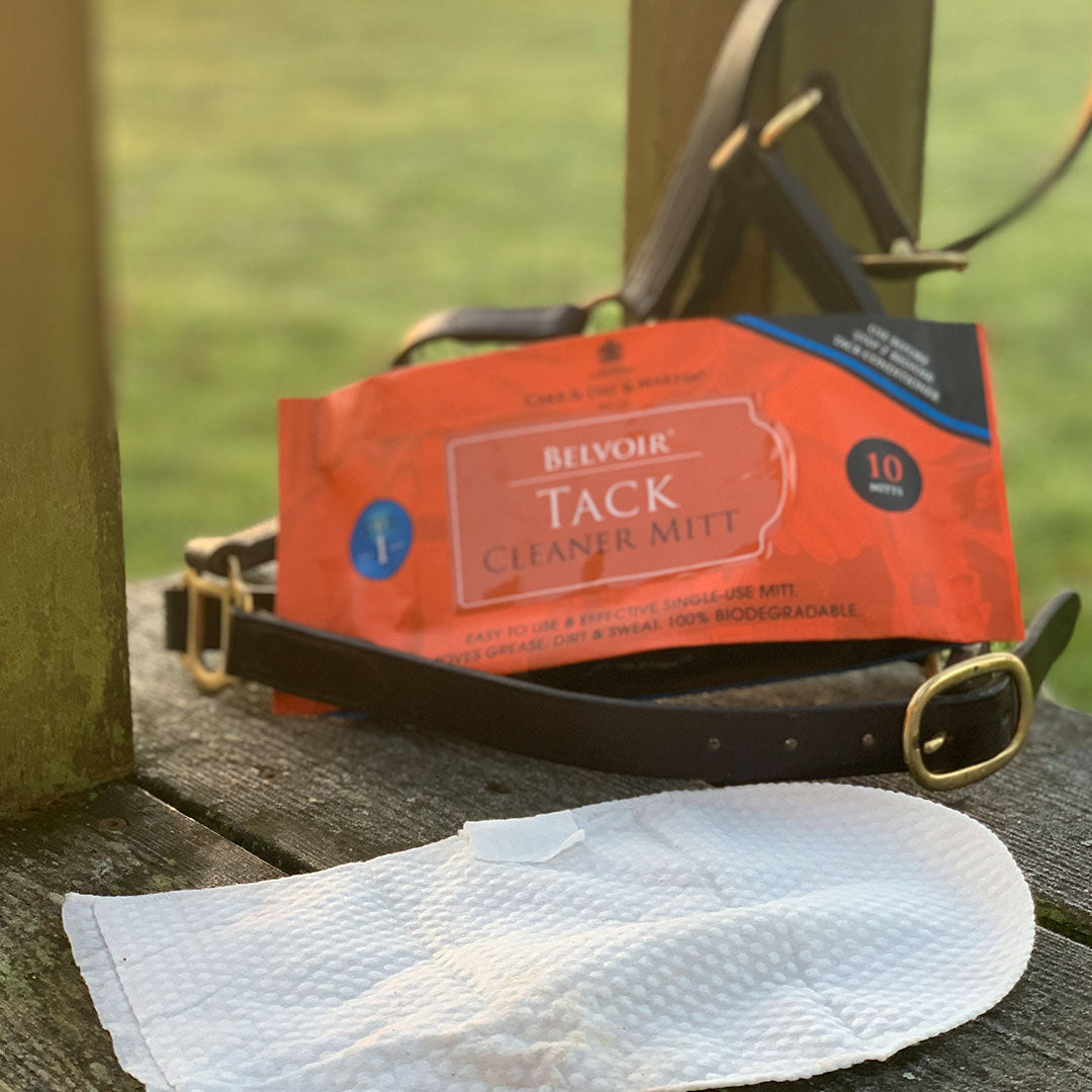 Carr & Day & Martin Belvoir Step 1 Tack Cleaner Mitt