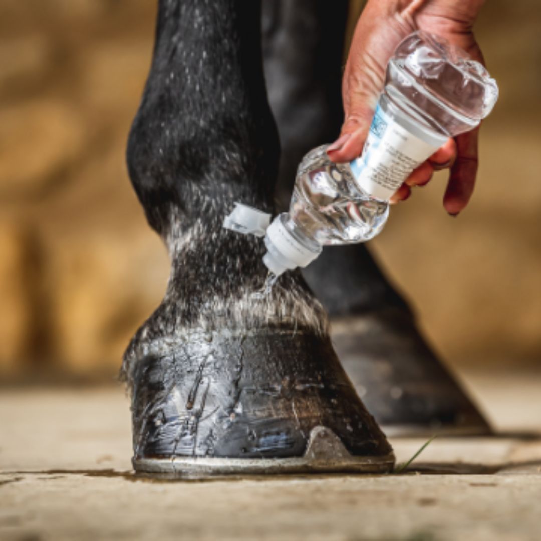 Carr & Day & Martin Cornucrescine Hoof Barrier