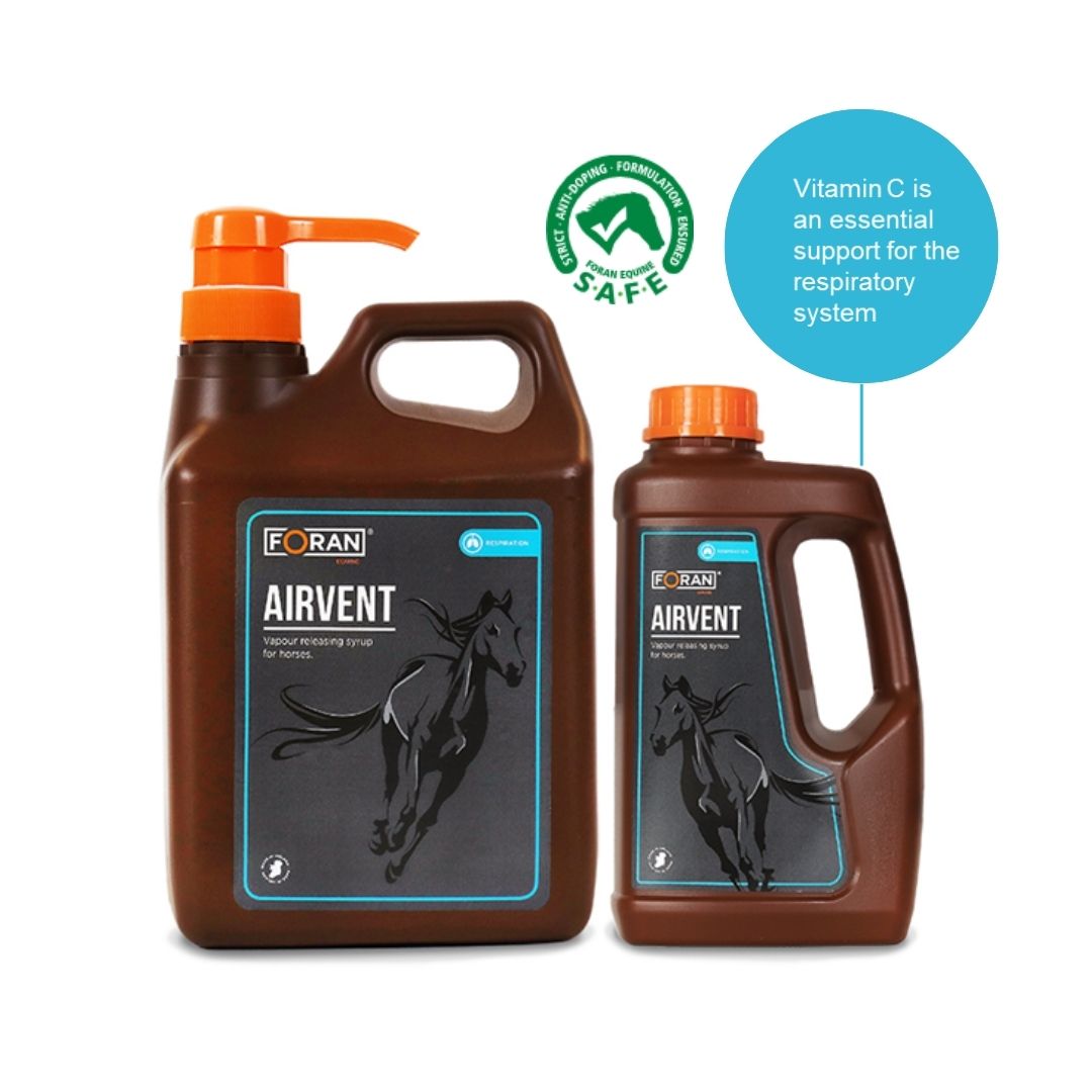 Foran Equine AIRvent Syrup