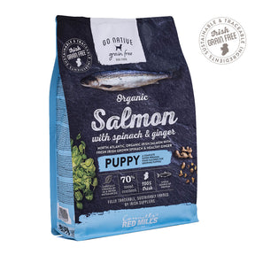 Go Native Puppy with Organic Salmon, Spinach & Ginger Dog Food