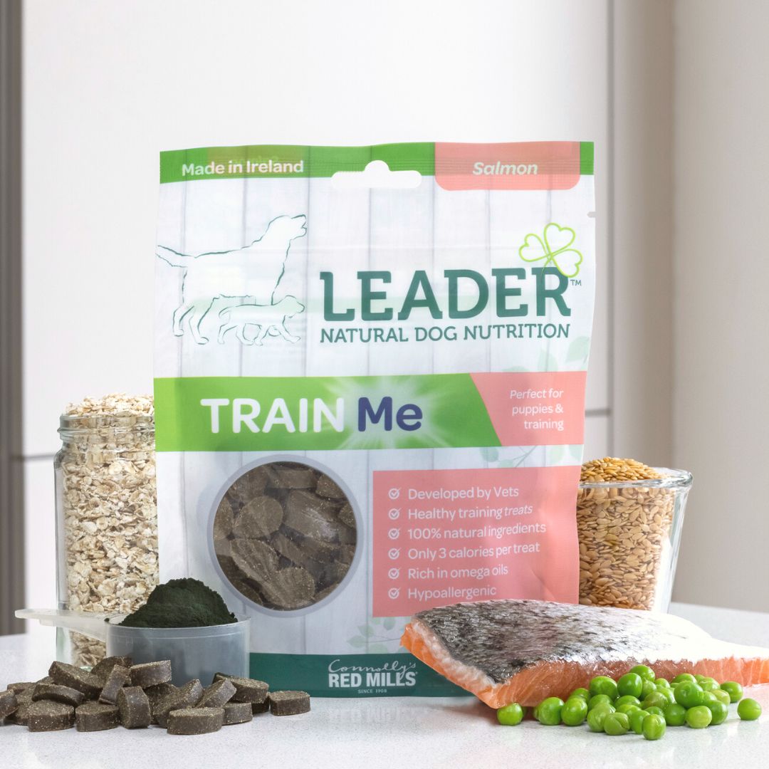 Leader Train Me Treats in Salmon Flavour