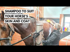 Carr & Day & Martin Gallop Colour Enhancing Shampoo for Chestnut & Palomino Horses