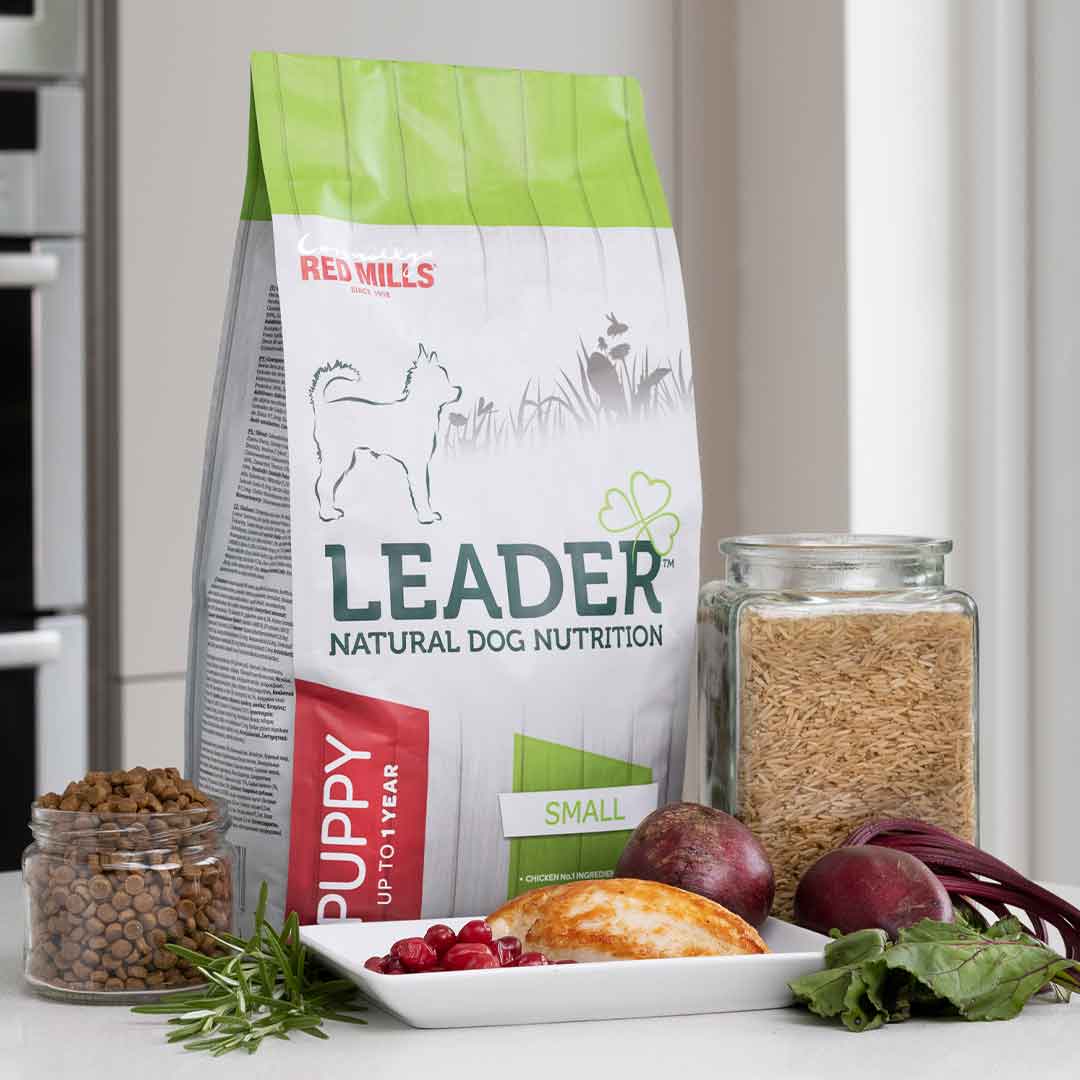 Leader Puppy Small Breed Dog Food