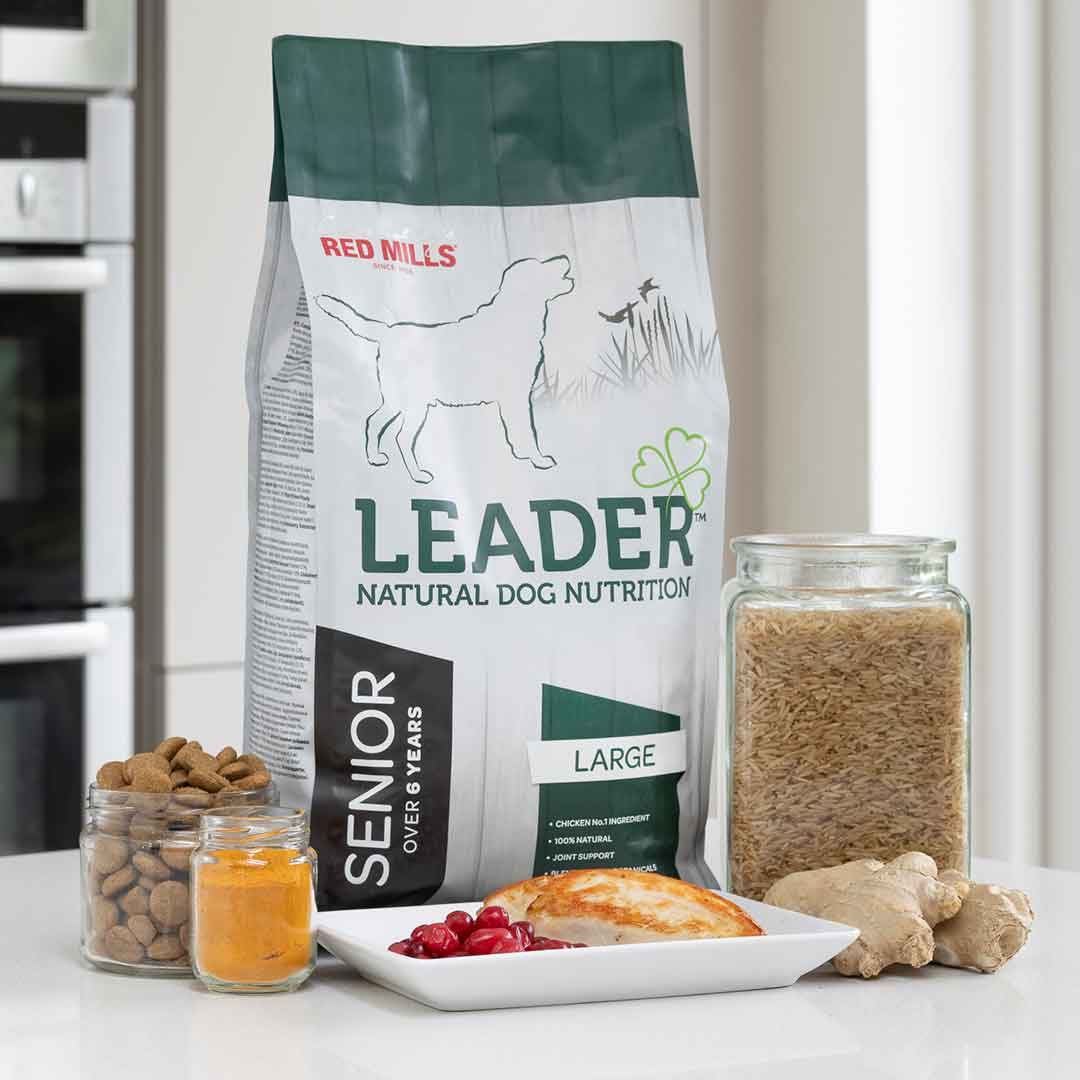 Leader Senior Large Breed Dog Food