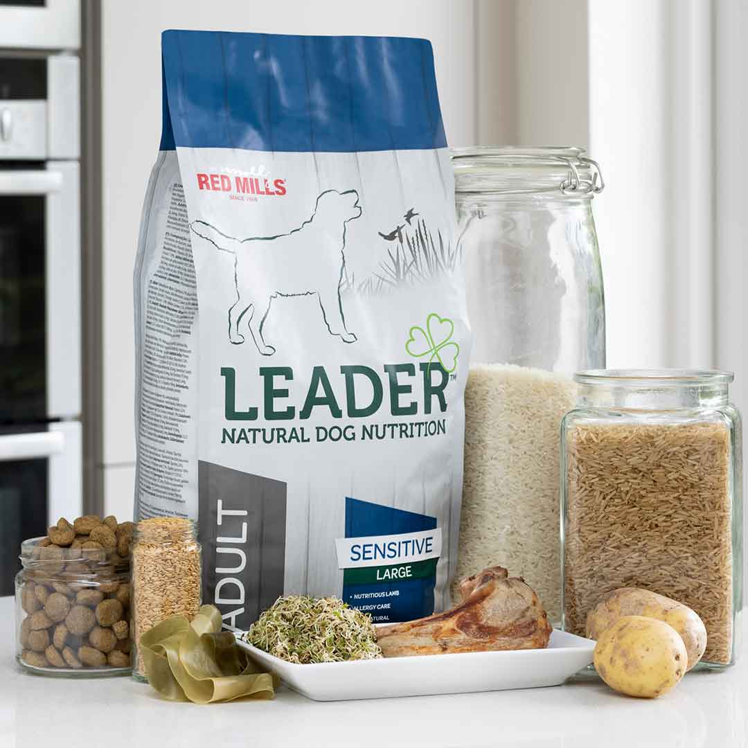 Leader Sensitive Adult Large Breed Dog Food