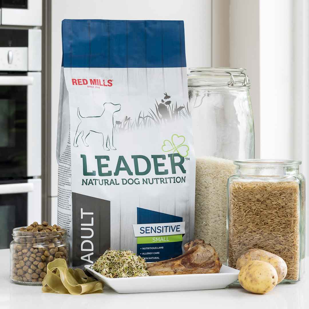 Leader Sensitive Adult Small Breed Dog Food