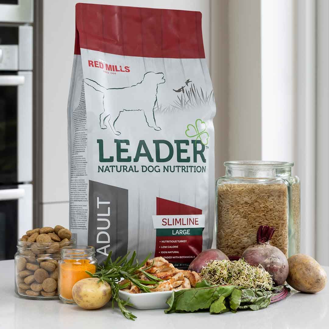 Leader Slimline Adult Large Breed Dog Food